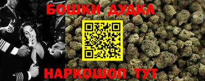 стаф Бузулук